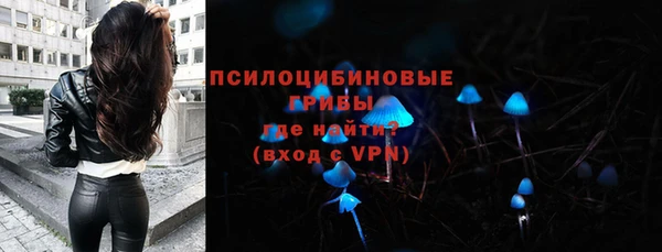 эйфоретик Алексин