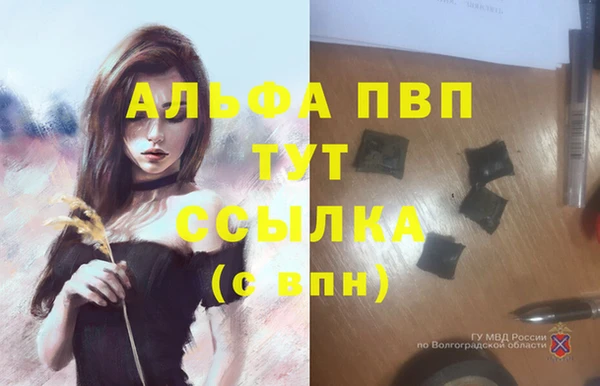 трава Арсеньев